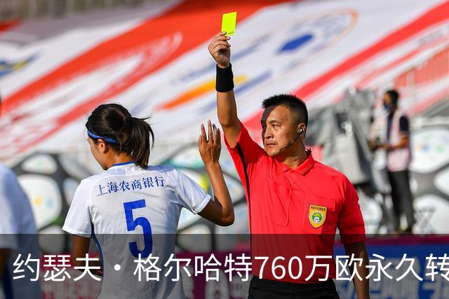 约瑟夫·格尔哈特760万欧永久转会赫尔城