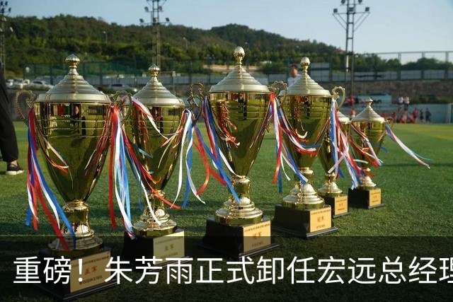 重磅！朱芳雨正式卸任宏远总经理，新下家曝光，接任人选已确定